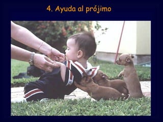  4. Ayuda al prójimo 
 