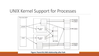 UNIX Kernel Support for Processes
 