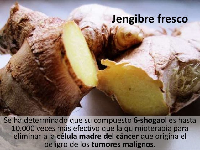 Daniel Rangel Barón: Plantas para combatir el cáncer Daniel Rangel Barón: Plantas para combatir el cáncer