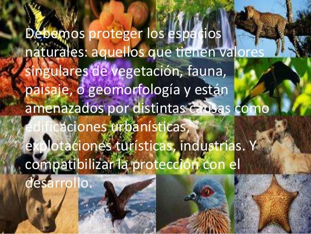 Resultado de imagen para 18 de octubre dia mundial de la proteccion de la naturaleza