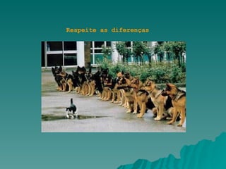 Respeite as diferenças 