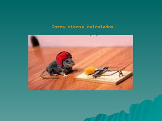 Corra riscos calculados 