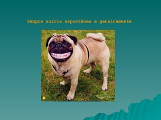 Sempre sorria espontânea e genuinamente                                
