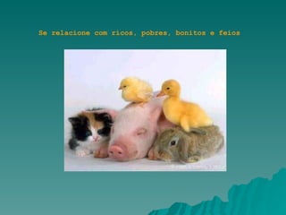 Se relacione com ricos, pobres, bonitos e feios 