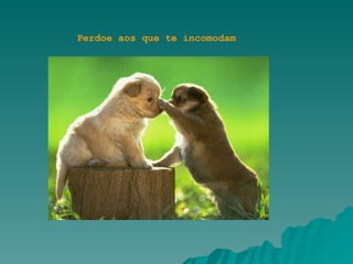 Perdoe aos que te incomodam 