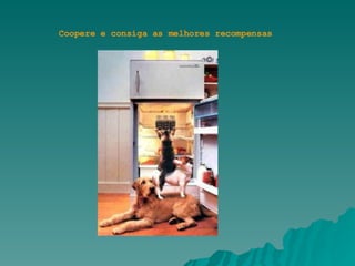 Coopere e consiga as melhores recompensas 