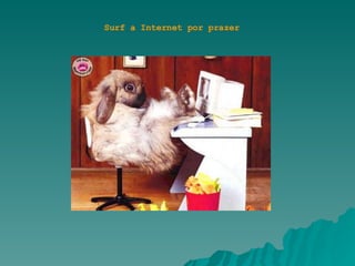 Surf a Internet por prazer 