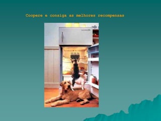 Coopere e consiga as melhores recompensas
 