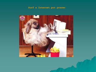 Surf a Internet por prazer
 