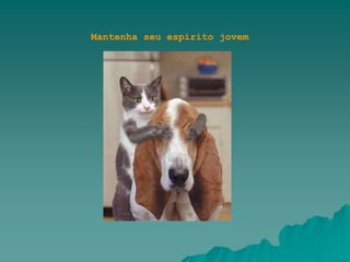 Mantenha seu espírito jovem
 