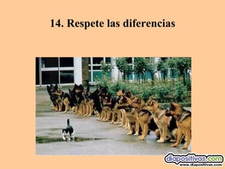14.  Respete las diferencias 