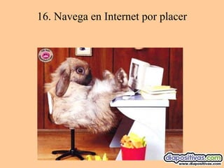 16.  Navega en Internet por placer 