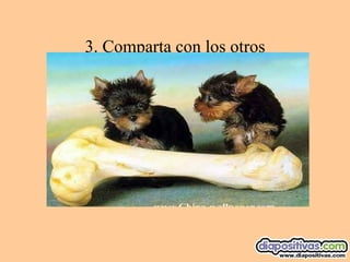 3. Comparta con los otros 