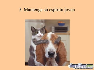 5.  Mantenga su espíritu joven 