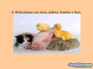 6. Relaciónese con ricos, pobres, bonitos y feos. 