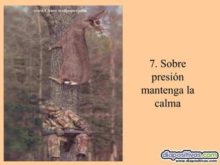 7. Sobre presión mantenga la calma 