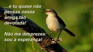 ……e tu quase nãoe tu quase não
pensas nessapensas nessa
amiga tãoamiga tão
devotada!devotada!
Não me desprezes:Não me desprezes:
sou a esperança!sou a esperança!
 