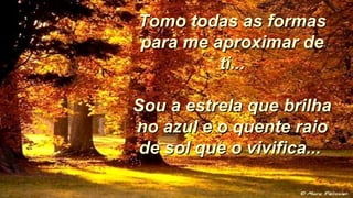Tomo todas as formasTomo todas as formas
para me aproximar depara me aproximar de
ti...ti...
Sou a estrela que brilhaSou a estrela que brilha
no azul e o quente raiono azul e o quente raio
de sol que o vivifica...de sol que o vivifica...
 