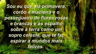 Sou eu que, na primavera,Sou eu que, na primavera,
corôo a macieira e ocorôo a macieira e o
pessegueiro de flores rosaspessegueiro de flores rosas
e brancas e as espalhoe brancas e as espalho
sobre a terra como umsobre a terra como um
sopro celeste, que te fazsopro celeste, que te faz
aspirar a mundos maisaspirar a mundos mais
felizes.felizes.
 