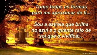Tomo todas as formasTomo todas as formas
para me aproximar de ti...para me aproximar de ti...
Sou a estrela que brilhaSou a estrela que brilha
no azul e o quente raio deno azul e o quente raio de
sol que o vivifica...sol que o vivifica...
 