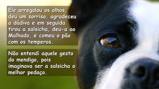 Ele arregalou os olhos,Ele arregalou os olhos,
deu um sorriso, agradeceudeu um sorriso, agradeceu
a dádiva e em seguidaa dádiva e em seguida
tirou a salsicha, deu-a aotirou a salsicha, deu-a ao
Malhado, e comeu o pãoMalhado, e comeu o pão
com os temperos.com os temperos.
.
Não entendi aquele gestoNão entendi aquele gesto
do mendigo, poisdo mendigo, pois
imaginava ser a salsicha oimaginava ser a salsicha o
melhor pedaço.melhor pedaço.
.
.
 
