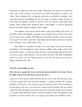 the presence of a solution that causes cells to shrink. Hypotonicity is the presence of a solution that
causes cells to swell. Isotonicity is the presence of a solution that produces no change in cell
volume. When a biological cell is in a hypotonic environment, the cell interior accumulates water,
water flows across the cell membrane into the cell, causing it to expand. In plant cells, the cell
wall restricts the expansion, resulting in pressure on the cell wall from within called turgor
pressure. Turgor pressure allows herbaceous plants to stand upright. It is also the determining
factor for how plants regulate the aperture of their stomata.
The membrane can be any thin skin that allows water to pass through it but not ions. So
this includes animal cell membranes. So osmotic pressure happens when you transfer a live animal
from one body of water to another. If the differences between the two bodies of water is very great
and the animal is not built to cope with a sharp change then the animal can die due to Cytolysis
(cell wall bursting). This is called Osmotic shock.
Swim bladder is a gas-filled sac found in the body cavities for the most bony-fishes
(Osteichthyes). The swim bladder has various functions in different fishes, acting as a float which
gives the fish buoyancy, as a lung, as a hearing aid, and as a sound producing organ. In many fishes
it serves two or three of these functions, and in the African and Asiatic knife fishes (Notopteridae)
it may serve all four. The swim bladder contains the same gases that make up air, but often in
different proportions (Hill, 2002)
ENGAGE: I need stability to swim
Fish is the one an aquatic life. It can swim into the deep and shallow level of water. What is
the ability of the fish that able them to swim in the water?
So this story is about the swim bladder that many fish have, but as is true with most better stories,
it will end up being about much more than swimming. A problem associated with swimming,
particularly in deep water, is that we want our body to be buoyancy neutral. Hence, it should have
the same density as the water so we do not have to work to keep from floating to the top or sinking
to the bottom. Since the density of water in the ocean varies with location and time the best solution
is to be able to adjust the effective density of our body to match the water. The adjustment should
be rapid if we are a fast swimmer since we are going to move though water of different density.
 