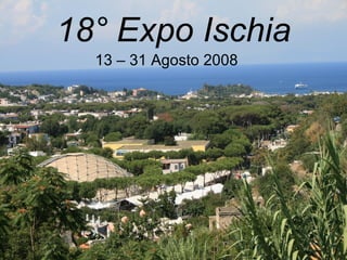 18° Expo Ischia 13 – 31 Agosto 2008 