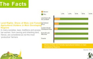 The Facts
Share of Male and Female Agricultural holders in main
Developing Regions
Land Rights: Share of Male and Female
Agricultural Holders in Main Developing
Regions
In many societies, laws, traditions and access
bar women from owning and inheriting land.
Hence, are considered as not the most
‘productive’ farmers
Source: FAO
 