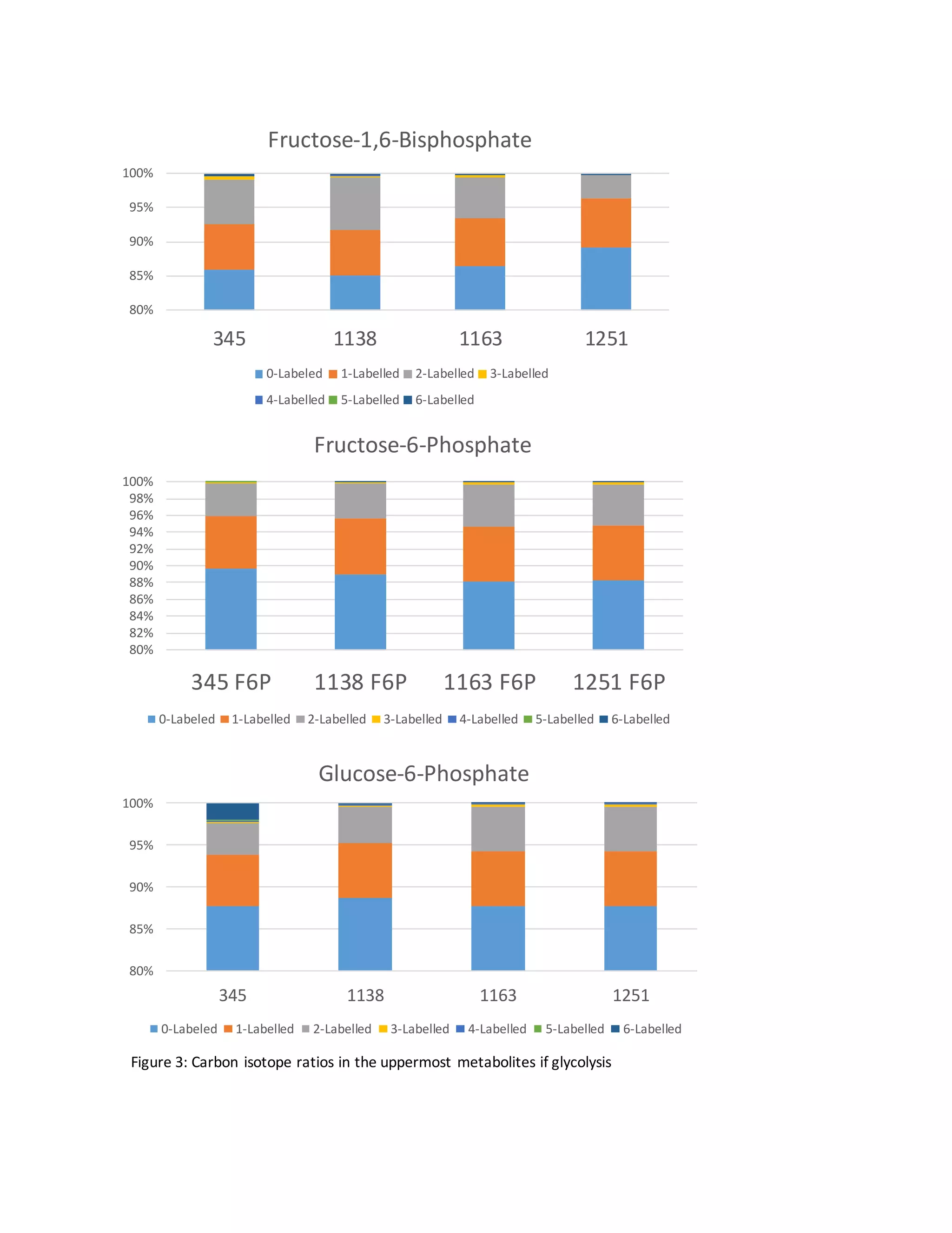 Figure 3: Carbon isotope ratios in the uppermost metabolites if glycolysis
80%
85%
90%
95%
100%
345 1138 1163 1251
Fructose-1,6-Bisphosphate
0-Labeled 1-Labelled 2-Labelled 3-Labelled
4-Labelled 5-Labelled 6-Labelled
80%
82%
84%
86%
88%
90%
92%
94%
96%
98%
100%
345 F6P 1138 F6P 1163 F6P 1251 F6P
Fructose-6-Phosphate
0-Labeled 1-Labelled 2-Labelled 3-Labelled 4-Labelled 5-Labelled 6-Labelled
80%
85%
90%
95%
100%
345 1138 1163 1251
Glucose-6-Phosphate
0-Labeled 1-Labelled 2-Labelled 3-Labelled 4-Labelled 5-Labelled 6-Labelled
 