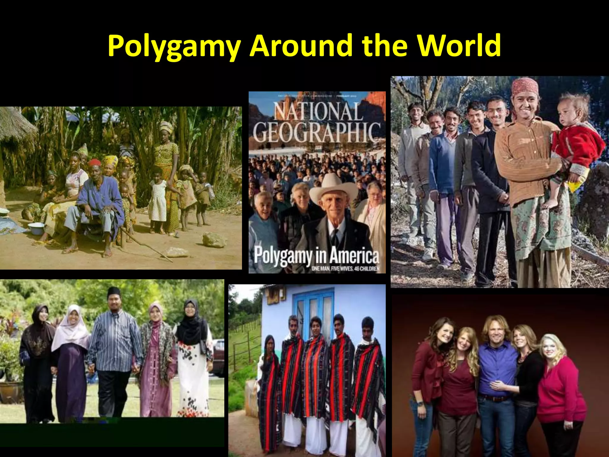 Polygamy Around the World
 