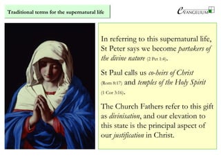 Traditional terms for the supernatural life
In referring to this supernatural life,
St Peter says we become partakers of
the divine nature (2 Pet 1:4).
St Paul calls us co-heirs of Christ
(Rom 8:17) and temples of the Holy Spirit
(1 Cor 3:16).
The Church Fathers refer to this gift
as divinisation, and our elevation to
this state is the principal aspect of
our justification in Christ.
 