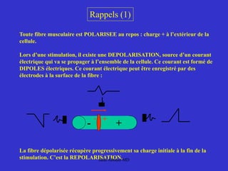 Rappels (1)
Toute fibre musculaire est POLARISEE au repos : charge + à l’extérieur de la
cellule.
Lors d’une stimulation, il existe une DEPOLARISATION, source d’un courant
électrique qui va se propager à l’ensemble de la cellule. Ce courant est formé de
DIPOLES électriques. Ce courant électrique peut être enregistré par des
électrodes à la surface de la fibre :
La fibre dépolarisée récupère progressivement sa charge initiale à la fin de la
stimulation. C’est la REPOLARISATION.
- +
+
-
Jalal Abouss MD
 