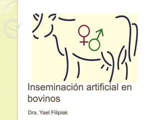 Inseminación artificial en
bovinos
Dra. Yael Filipiak
 