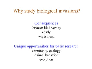 Why study biological invasions? Unique opportunities for basic research community ecology animal behavior evolution Consequences threaten biodiversity costly widespread 