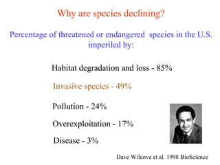 Percentage of threatened or endangered  species in the U.S. imperiled by: Why are species declining? Disease - 3% Overexploitation - 17% Pollution - 24% Invasive species - 49% Habitat degradation and loss - 85% Dave Wilcove et al. 1998 BioScience 