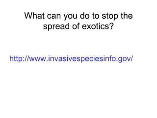 What can you do to stop the spread of exotics? http://www.invasivespeciesinfo.gov/ 