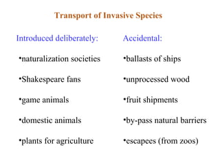 Transport of Invasive Species Introduced deliberately: naturalization societies Shakespeare fans game animals domestic animals plants for agriculture Accidental: ballasts of ships unprocessed wood fruit shipments by-pass natural barriers escapees (from zoos) 