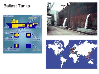 Ballast Tanks 