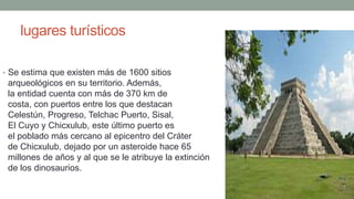 lugares turísticos
• Se estima que existen más de 1600 sitios
arqueológicos en su territorio. Además,
la entidad cuenta con más de 370 km de
costa, con puertos entre los que destacan
Celestún, Progreso, Telchac Puerto, Sisal,
El Cuyo y Chicxulub, este último puerto es
el poblado más cercano al epicentro del Cráter
de Chicxulub, dejado por un asteroide hace 65
millones de años y al que se le atribuye la extinción
de los dinosaurios.
 