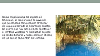 • Como consecuencia del impacto en
Chicxulub, se creó una red de cavernas
que se conocen como cenotes alrededor
de lo que es llamado el cinturón de cenotes.
Se estima que hay más de 3000 cenotes en
el territorio yucateco;76 en muchos de ellos,
es posible bañarse y nadar, como en el caso
de los que se encuentran en Cuzamá.
 