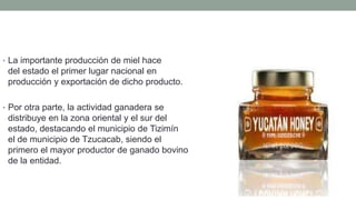 • La importante producción de miel hace
del estado el primer lugar nacional en
producción y exportación de dicho producto.
• Por otra parte, la actividad ganadera se
distribuye en la zona oriental y el sur del
estado, destacando el municipio de Tizimín y
el de municipio de Tzucacab, siendo el
primero el mayor productor de ganado bovino
de la entidad.
 