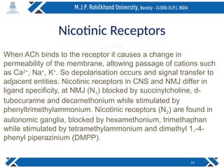 Nicotinic Receptors
When ACh binds to the receptor it causes a change in
permeability of the membrane, allowing passage of cations such
as Ca2+
, Na+
, K+
. So depolarisation occurs and signal transfer to
adjacent entities. Nicotinic receptors in CNS and NMJ differ in
ligand specificity, at NMJ (N1) blocked by succinylcholine, d-
tubocurarine and decamethonium while stimulated by
phenyltrimethylammonium. Nicotinic receptors (N2) are found in
autonomic ganglia, blocked by hexamethonium, trimethaphan
while stimulated by tetramethylammonium and dimethyl 1,-4-
phenyl piperazinium (DMPP).
14
 
