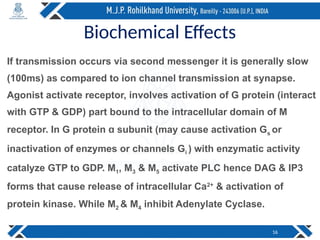 Biochemical Effects
If transmission occurs via second messenger it is generally slow
(100ms) as compared to ion channel transmission at synapse.
Agonist activate receptor, involves activation of G protein (interact
with GTP & GDP) part bound to the intracellular domain of M
receptor. In G protein subunit (may cause activation G
ɑ s or
inactivation of enzymes or channels Gi ) with enzymatic activity
catalyze GTP to GDP. M1, M3 & M5 activate PLC hence DAG & IP3
forms that cause release of intracellular Ca2+
& activation of
protein kinase. While M2 & M4 inhibit Adenylate Cyclase.
16
 
