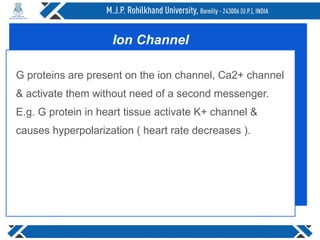 G proteins are present on the ion channel, Ca2+ channel
& activate them without need of a second messenger.
E.g. G protein in heart tissue activate K+ channel &
causes hyperpolarization ( heart rate decreases ).
Ion Channel
 