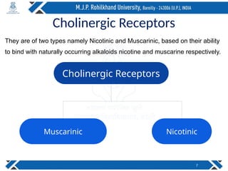 Cholinergic Receptors
They are of two types namely Nicotinic and Muscarinic, based on their ability
to bind with naturally occurring alkaloids nicotine and muscarine respectively.
7
Cholinergic Receptors
Nicotinic
Muscarinic
 