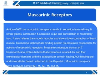 8
Action of ACh on muscarinic receptors results in secretion from salivary &
sweat glands, contraction & secretion in gut and constriction of respiratory
tract. It also relaxes the smooth muscles and slows down contraction of heart
muscle. Guanosine triphosphate binding protein (G-protein) is responsible for
actions of muscarinic receptors. Muscarinic receptors consist of 7
transmembrane protein helices that create four intracellular and four
extracellular domains with the extracellular domain having ACh binding site
and intracellular domain attached to the G-protein. Muscarinic receptors
have subtypes namely M1, M2, M3, M4 and M5.
Muscarinic Receptors
 