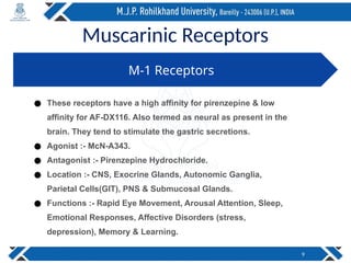 Muscarinic Receptors
9
M-1 Receptors
● These receptors have a high affinity for pirenzepine & low
affinity for AF-DX116. Also termed as neural as present in the
brain. They tend to stimulate the gastric secretions.
● Agonist :- McN-A343.
● Antagonist :- Pirenzepine Hydrochloride.
● Location :- CNS, Exocrine Glands, Autonomic Ganglia,
Parietal Cells(GIT), PNS & Submucosal Glands.
● Functions :- Rapid Eye Movement, Arousal Attention, Sleep,
Emotional Responses, Affective Disorders (stress,
depression), Memory & Learning.
 