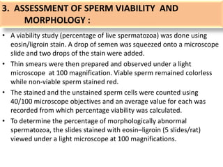 3. ASSESSMENT OF SPERM VIABILITY AND
MORPHOLOGY :
• A viability study (percentage of live spermatozoa) was done using
eosin/ligroin stain. A drop of semen was squeezed onto a microscope
slide and two drops of the stain were added.
• Thin smears were then prepared and observed under a light
microscope at 100 magnification. Viable sperm remained colorless
while non-viable sperm stained red.
• The stained and the unstained sperm cells were counted using
40/100 microscope objectives and an average value for each was
recorded from which percentage viability was calculated.
• To determine the percentage of morphologically abnormal
spermatozoa, the slides stained with eosin–ligroin (5 slides/rat)
viewed under a light microscope at 100 magnifications.
 
