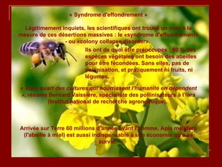« Syndrome d'effondrement » Légitimement inquiets, les scientifiques ont trouvé un nom à la mesure de ces désertions massives : le «syndrome d'effondrement» - ou «colony collapse disorder».  « Trois quart des cultures qui nourrissent l'humanité en dépendent »,  résume Bernard Vaissière, spécialiste des pollinisateurs à l'Inra (Institut national de recherche agronomique).  Arrivée sur Terre 60 millions d'année avant l'homme, Apis mellifera (l'abeille à miel) est aussi indispensable à son économie qu'à sa survie.  Ils ont de quoi être préoccupés : 80 % des espèces végétales ont besoin des abeilles pour être fécondées. Sans elles, pas de pollinisation, et pratiquement ni fruits, ni légumes.  