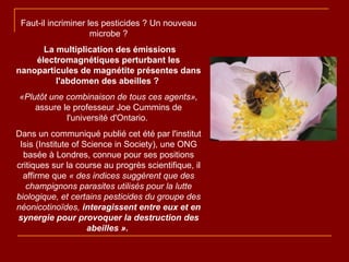 Faut-il incriminer les pesticides ? Un nouveau microbe ? La multiplication des émissions électromagnétiques perturbant les nanoparticules de magnétite présentes dans l'abdomen des abeilles ?   «Plutôt une combinaison de tous ces agents»,  assure le professeur Joe Cummins de l'université d'Ontario.  Dans un communiqué publié cet été par l'institut Isis (Institute of Science in Society), une ONG basée à Londres, connue pour ses positions critiques sur la course au progrès scientifique, il affirme que  « des indices suggèrent que des champignons parasites utilisés pour la lutte biologique, et certains pesticides du groupe des néonicotinoïdes,  interagissent entre eux et en synergie pour provoquer la destruction des abeilles ».   